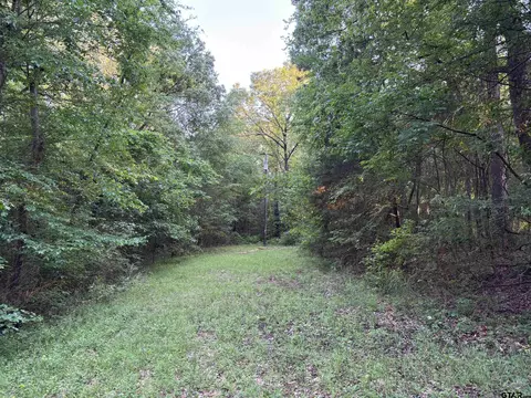 tbd Goliad, Mount Vernon, TX 75457