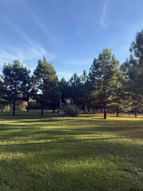 1017 Pheasant, Gilmer, TX 75644 photo 28