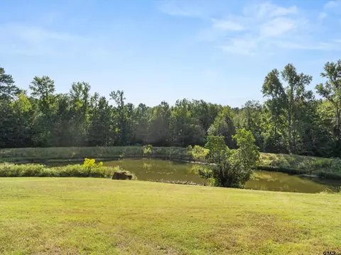 1017 Pheasant, Gilmer, TX 75644 photo 4