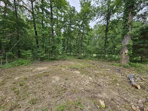 881 Hallsville Hts, Longview, TX 75602
