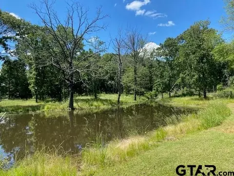 610 Old Tyler Hwy, Athens, TX 75751