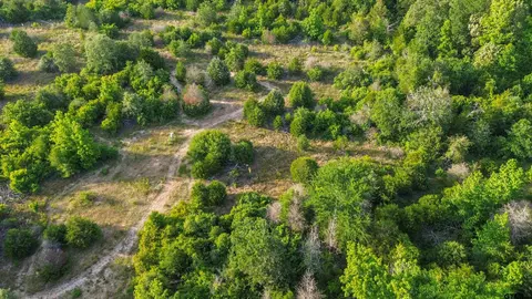 7363 Sandy Hill Ln, Murchison, TX 75778