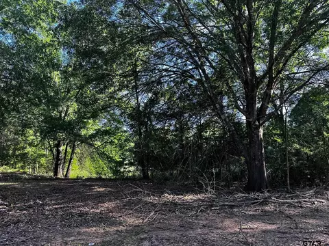 231 Private Road 8507, Van, TX 75790 photo 6