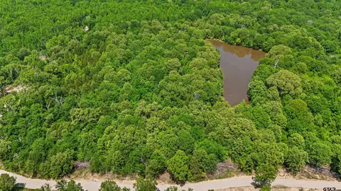 231 Private Road 8507, Van, TX 75790 photo 11