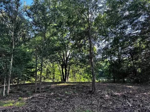 231 Private Road 8507, Van, TX 75790 photo 7