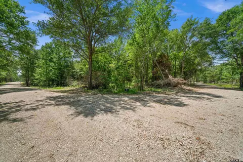 231 Private Road 8507, Van, TX 75790 photo 9