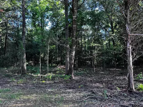 231 Private Road 8507, Van, TX 75790 photo 8