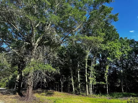 231 Private Road 8507, Van, TX 75790 photo 5