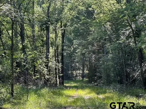 231 Private Road 8507, Van, TX 75790 photo 3