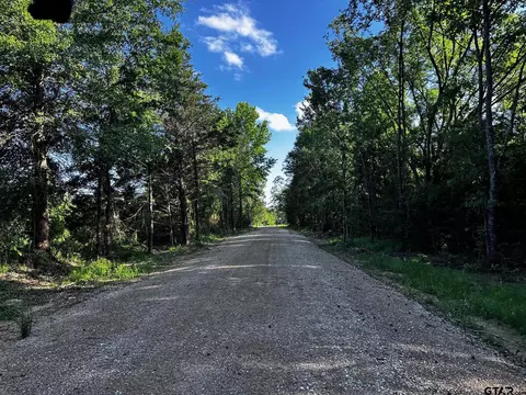 231 Private Road 8507, Van, TX 75790