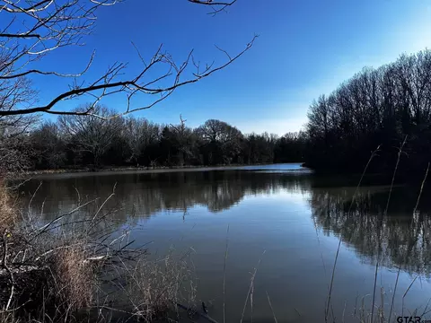 261 Private Road 8506, Van, TX 75790