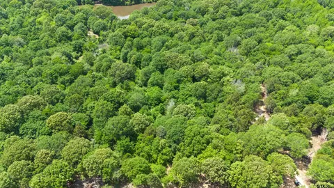 333 Private Road 8506, Van, TX 75790 photo 14