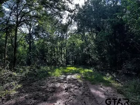 333 Private Road 8506, Van, TX 75790 photo 10