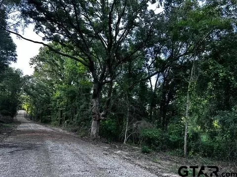 333 Private Road 8506, Van, TX 75790 photo 9