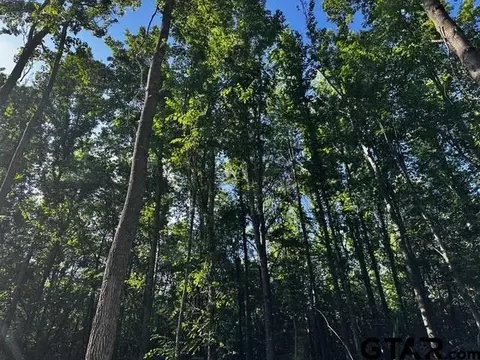 333 Private Road 8506, Van, TX 75790 photo 3