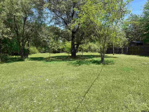 411 E Stadium Ln, Van, TX 75790