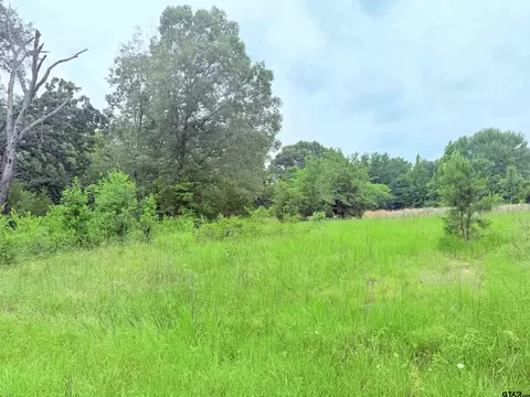 tbd County Road 3513, Brownsboro, TX 75756