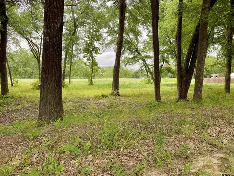 lot2 Browning St, Brownsboro, TX 75756