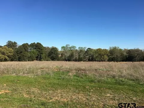 12721 Ridgeway Ct, Winona, TX 75792