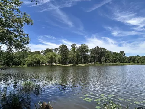 lot Tr 5b Stevenson Rd, Frankston, TX 75763