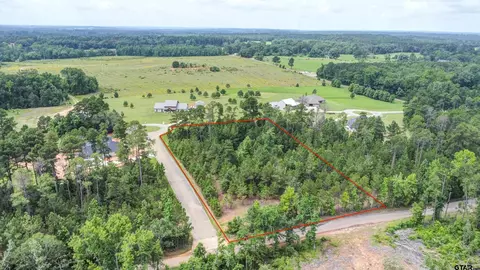 lot4 Blk 2 Loblolly Ln, Henderson, TX 75654