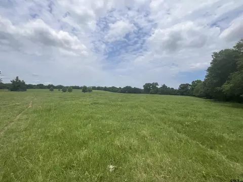 tbd Cr 2314, Pittsburg, TX 75686