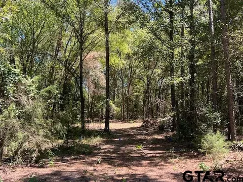 Fm 1519 Cr 3322, Pittsburg, TX 75686