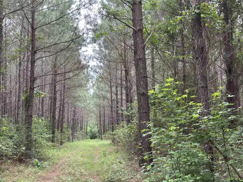 tbd Sand Rd, Lufkin, TX 75904