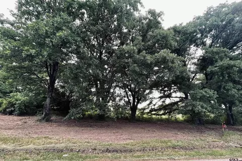 lot4 Cr 1560, Alba, TX 75410