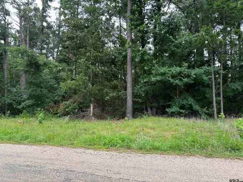 tbd Cr 2121, Pittsburg, TX 75686
