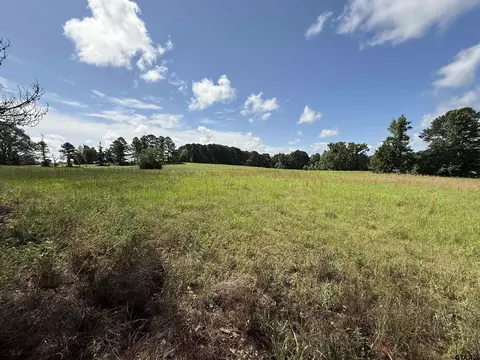 tbd Cr 4194 Tr-4, Henderson, TX 75654