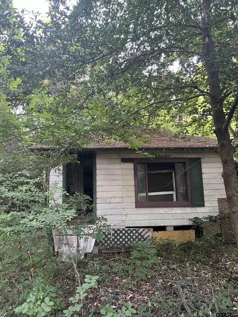 17246 Hillside Dr, Flint, TX 75762