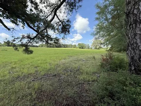 tbd Cr 4194 Tr-7, Henderson, TX 75654