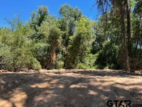 tbd Lot 2 3322, Pittsburg, TX 75686