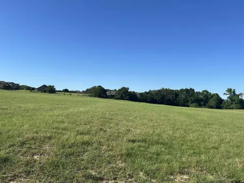 tbd Hickory Oak Dr, Lindale, TX 75771