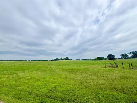 lot62 Cr 2320, Pittsburg, TX 75686