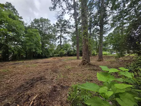 20812 Forest Grove Dr, Chandler, TX 75758