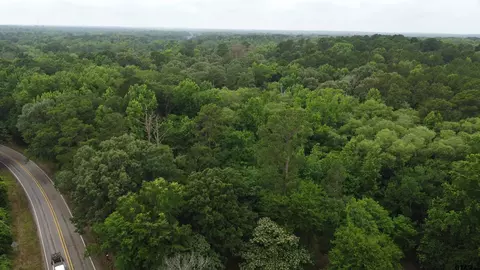 tbd County Road 1418, Quitman, TX 75783