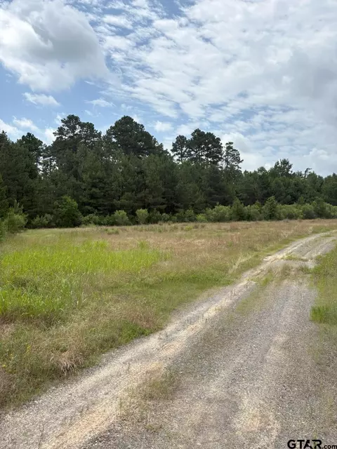 tbd County Road 425, Tenaha, TX 75974