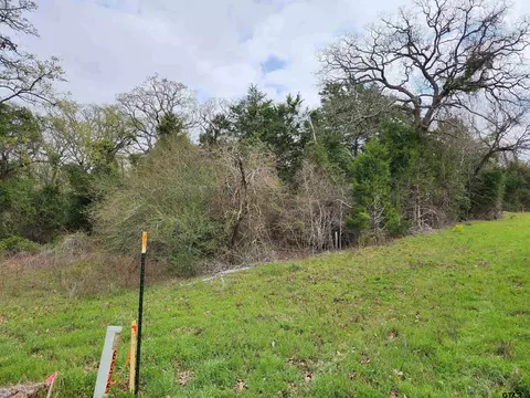 24283 Fm 1253, Mineola, TX 75773