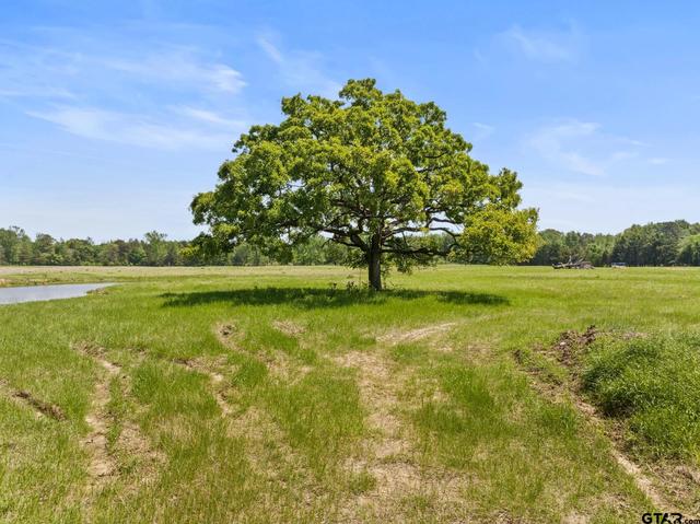 lot A Cr 3324, Pittsburg, TX 75686
