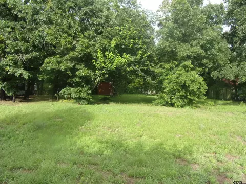 187 Holly Ln, Murchison, TX 75778