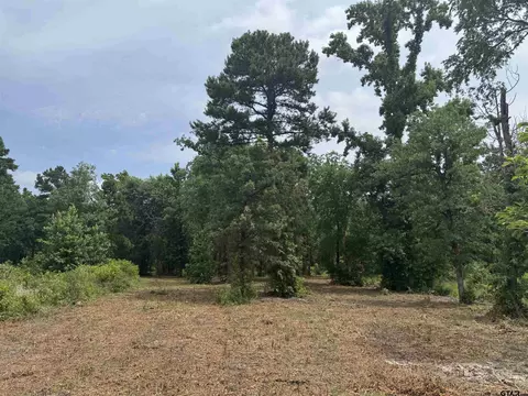 3162 Shadow Pine Dr, Larue, TX 75770