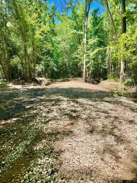 794 Cr 3905, Jacksonville, TX 75766