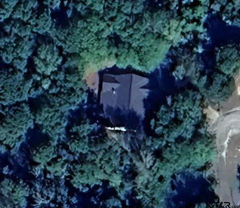 165 Wagon Wheel Path, Holly Lake Ranch, TX 75765