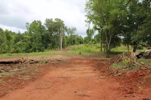 tbd Tract 3 Cr 4118, Jacksonville, TX 75766