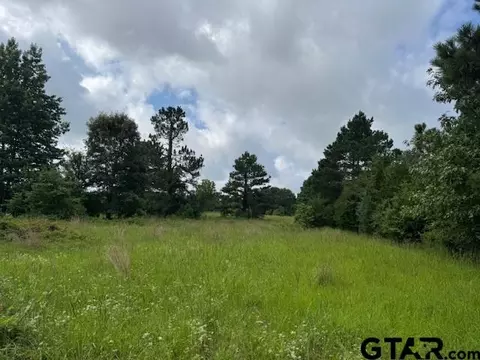 tbd Cr 1792, Yantis, TX 75497