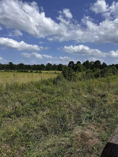 001 Fm 144, Daingerfield, TX 75638