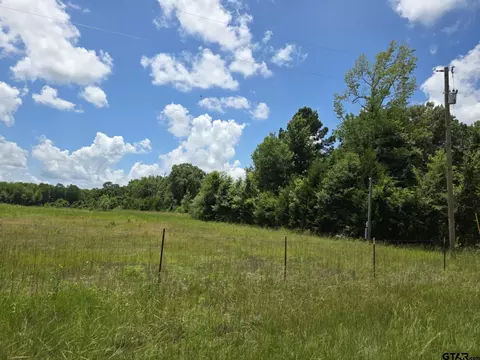 tbd County Road 4960, Pittsburg, TX 75686