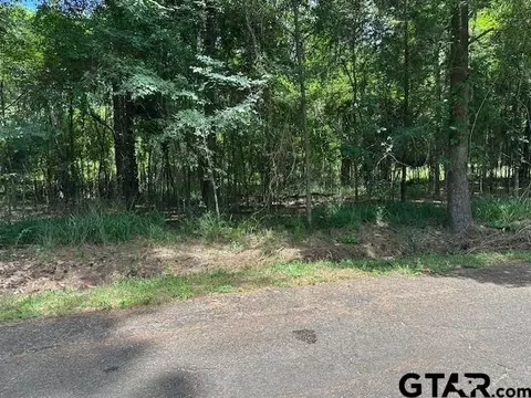 0000 Flamingtree Way, Flint, TX 75762